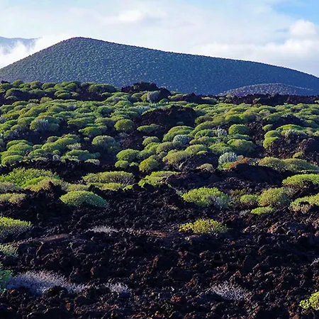 Live Puertito Almirante Appartamento *