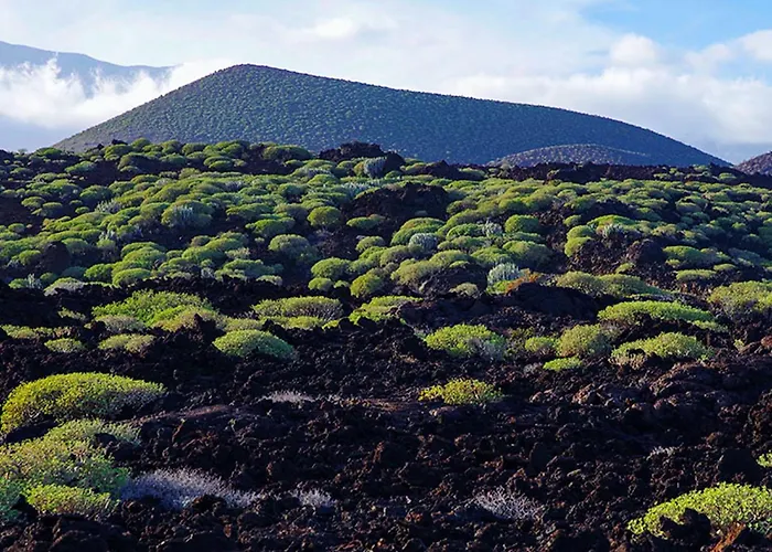 Live Puertito Almirante 公寓 *